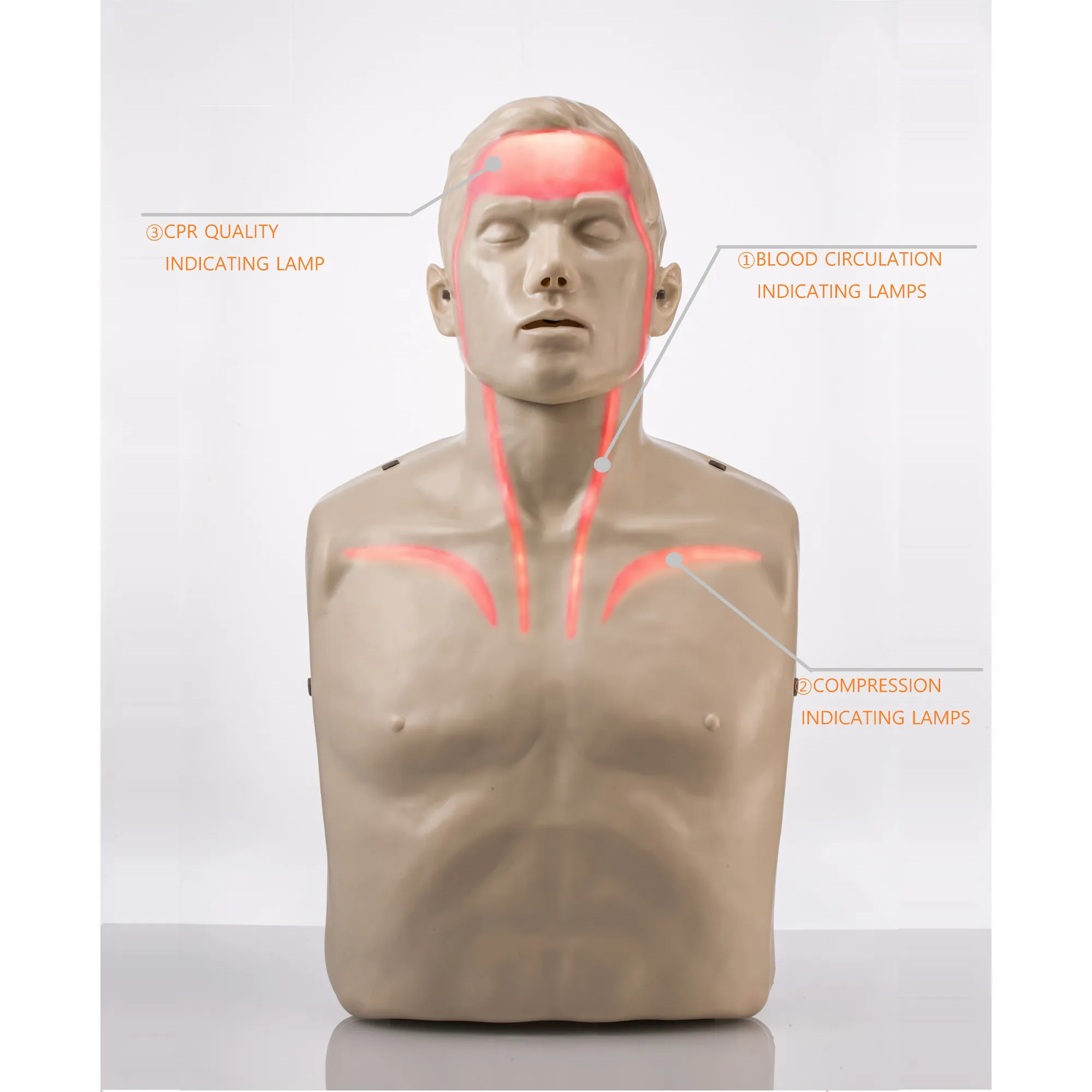 Brayden Adult Advanced Manikin - Red Light