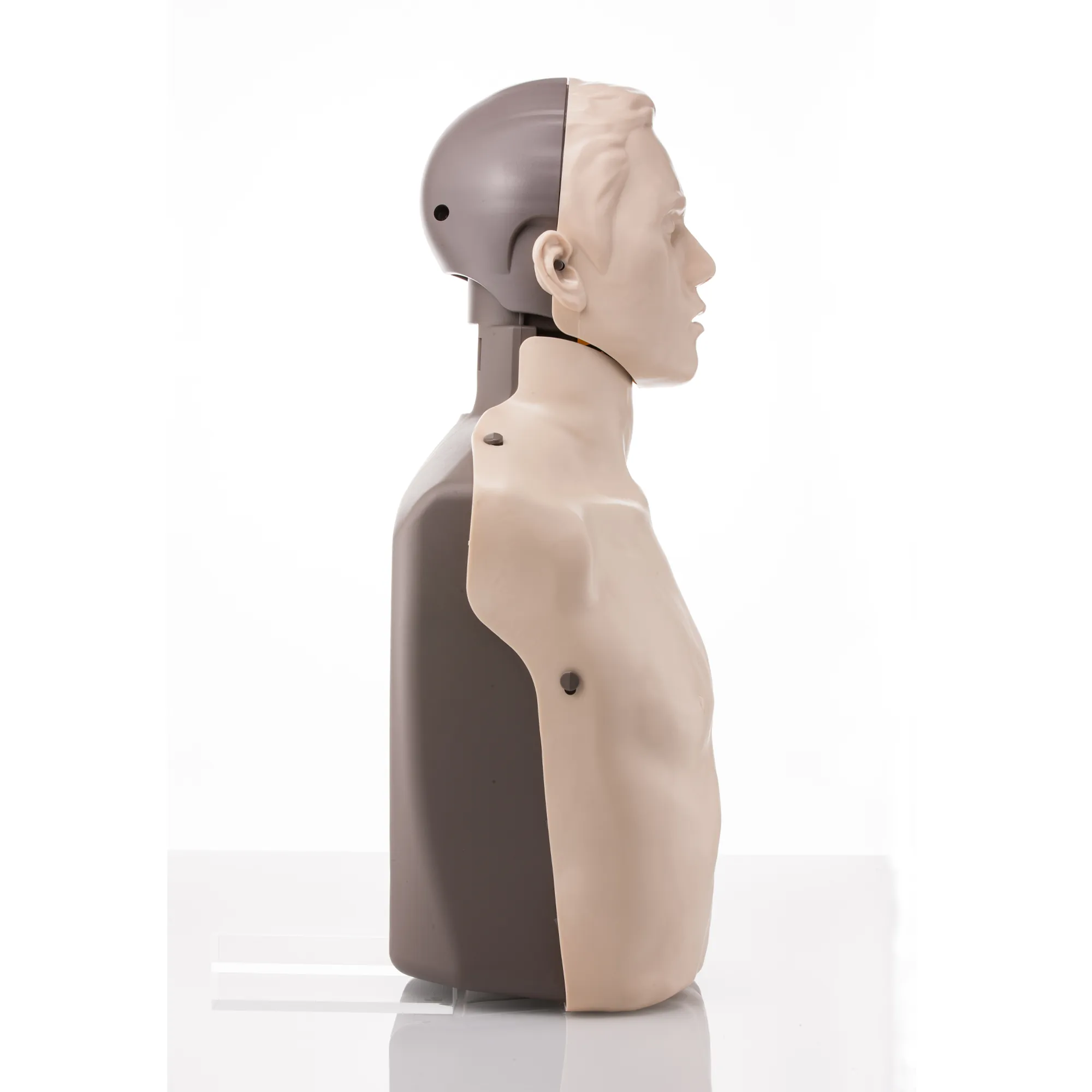 Brayden Adult Advanced Manikin - Red Light