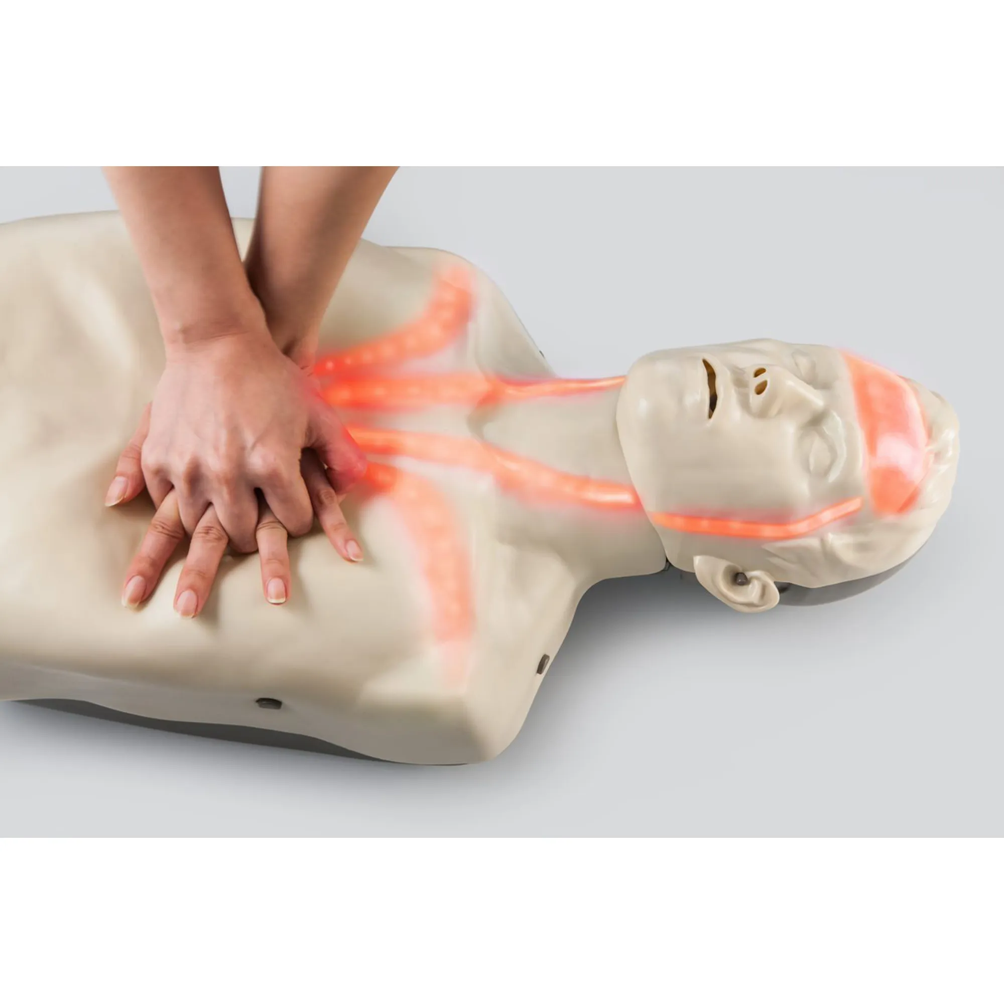Brayden Adult Advanced Manikin - Red Light