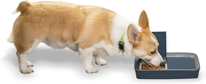 Digital 2 Meal Programmable Pet Feeder