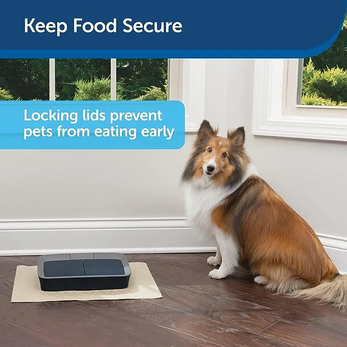 Digital 2 Meal Programmable Pet Feeder