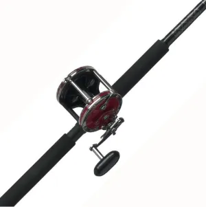 Penn 114H2 Special Senator Conventional Reel and Rod 6' 6" Combo 91414