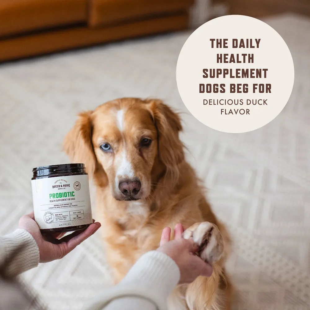 Rocco & Roxie® Probiotic Dog Chew, 90 Count